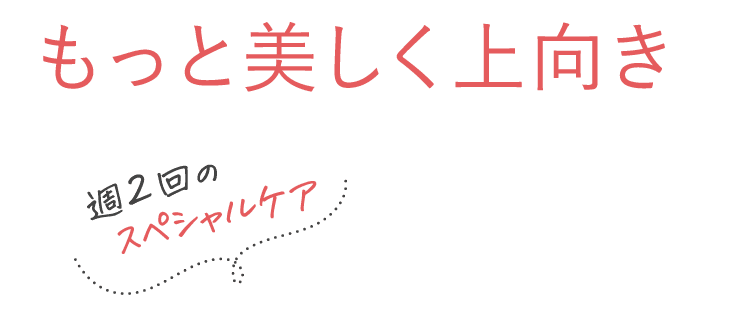 特別セール実施中